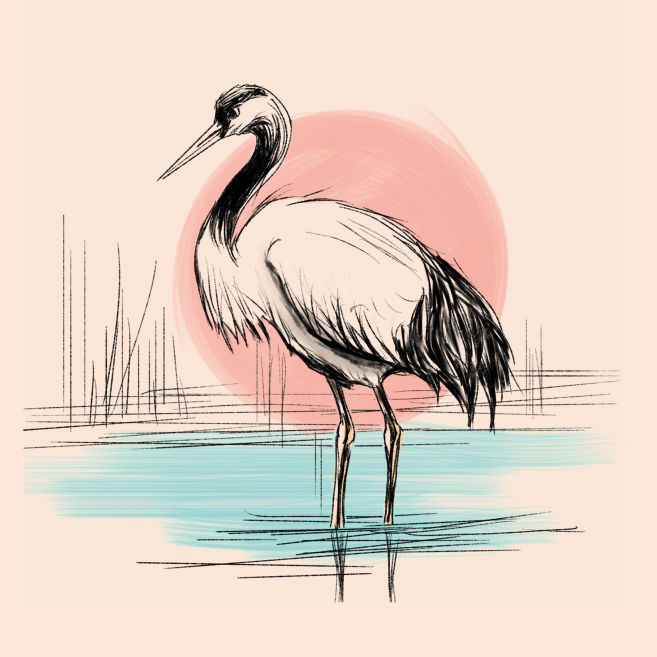 Illustration für Buchcover